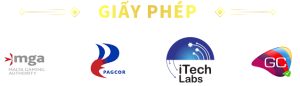 giấy phép hđ