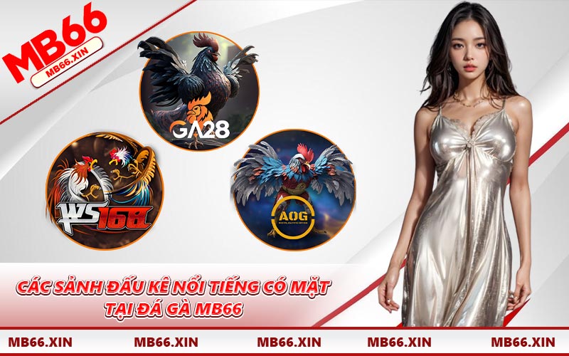 Các sảnh đấu kê nổi tiếng có mặt tại đá gà MB66
