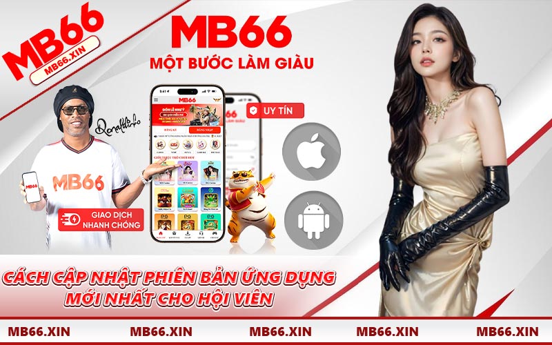 Cách cập nhật phiên bản ứng dụng mới nhất cho hội viên