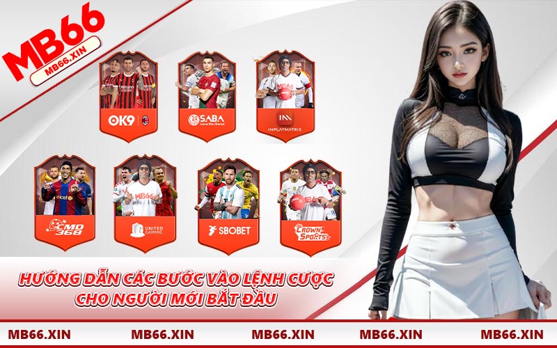 Hướng dẫn các bước vào lệnh cược cho người mới bắt đầu
