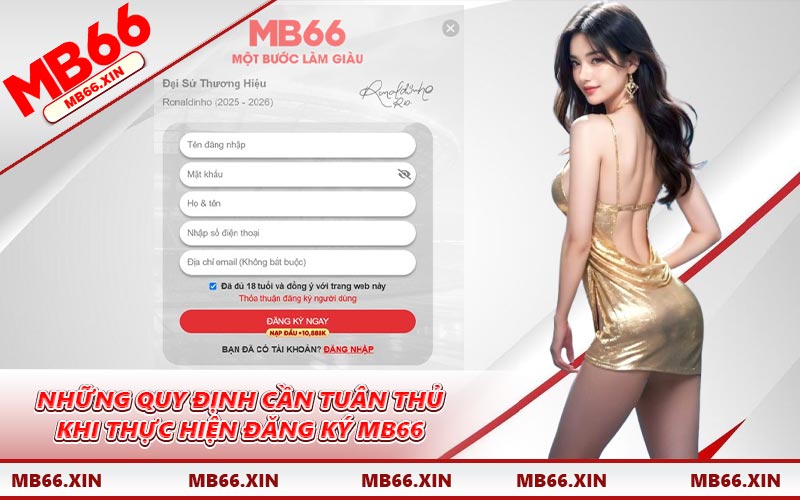 Những quy định cần tuân thủ khi thực hiện đăng ký MB66