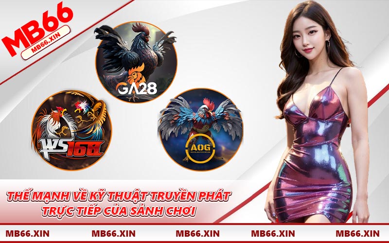 Thế mạnh về kỹ thuật truyền phát trực tiếp của sảnh chơi